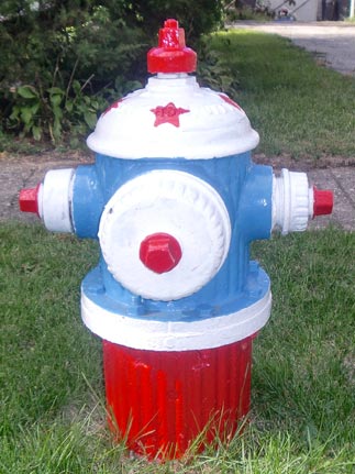 Red White Blue - 634 W. James (3)